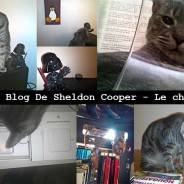 Le BLOG de Sheldon Cooper.